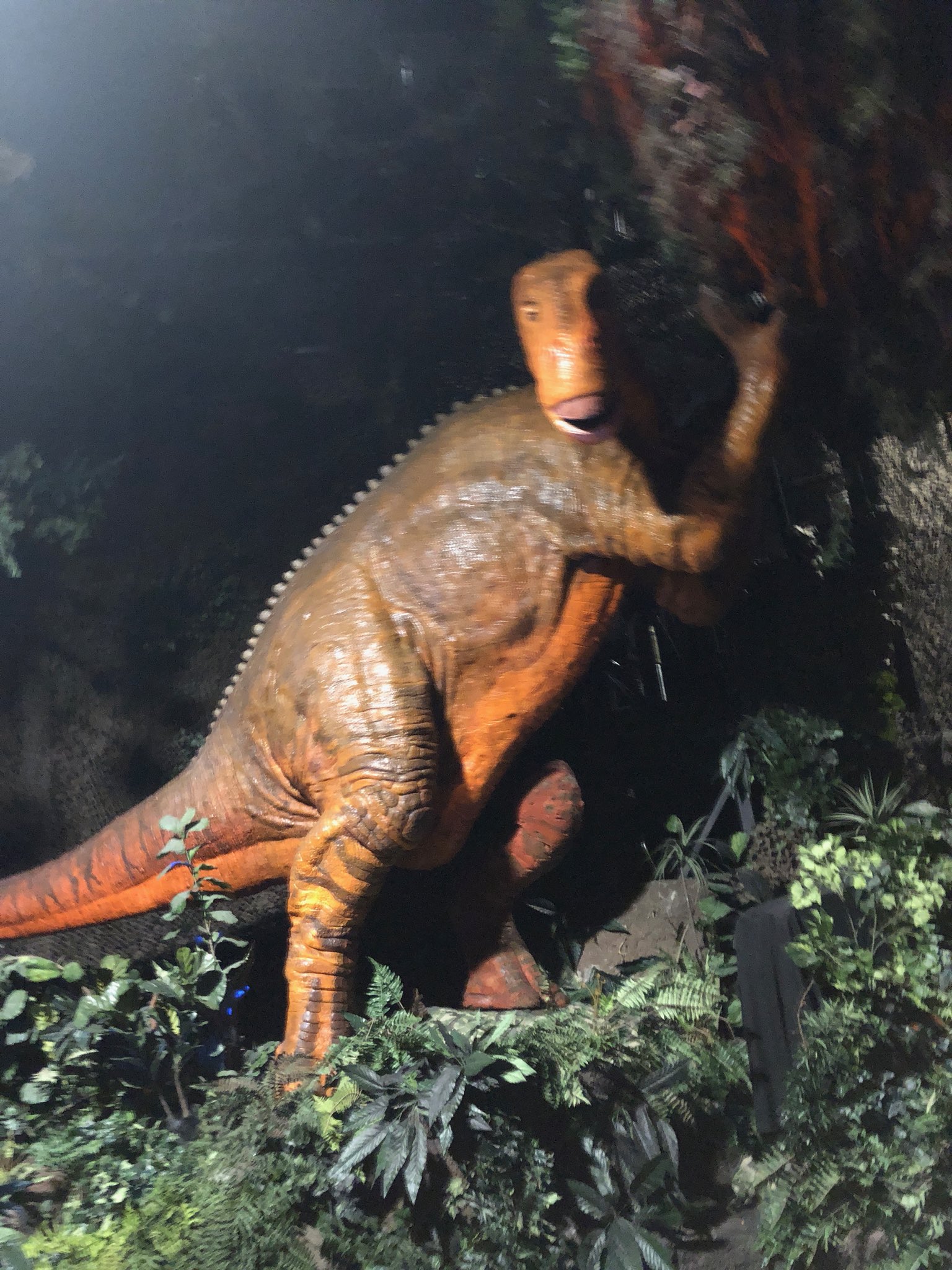 Attractions Magazine on Twitter: "Who would love to be evacuated off