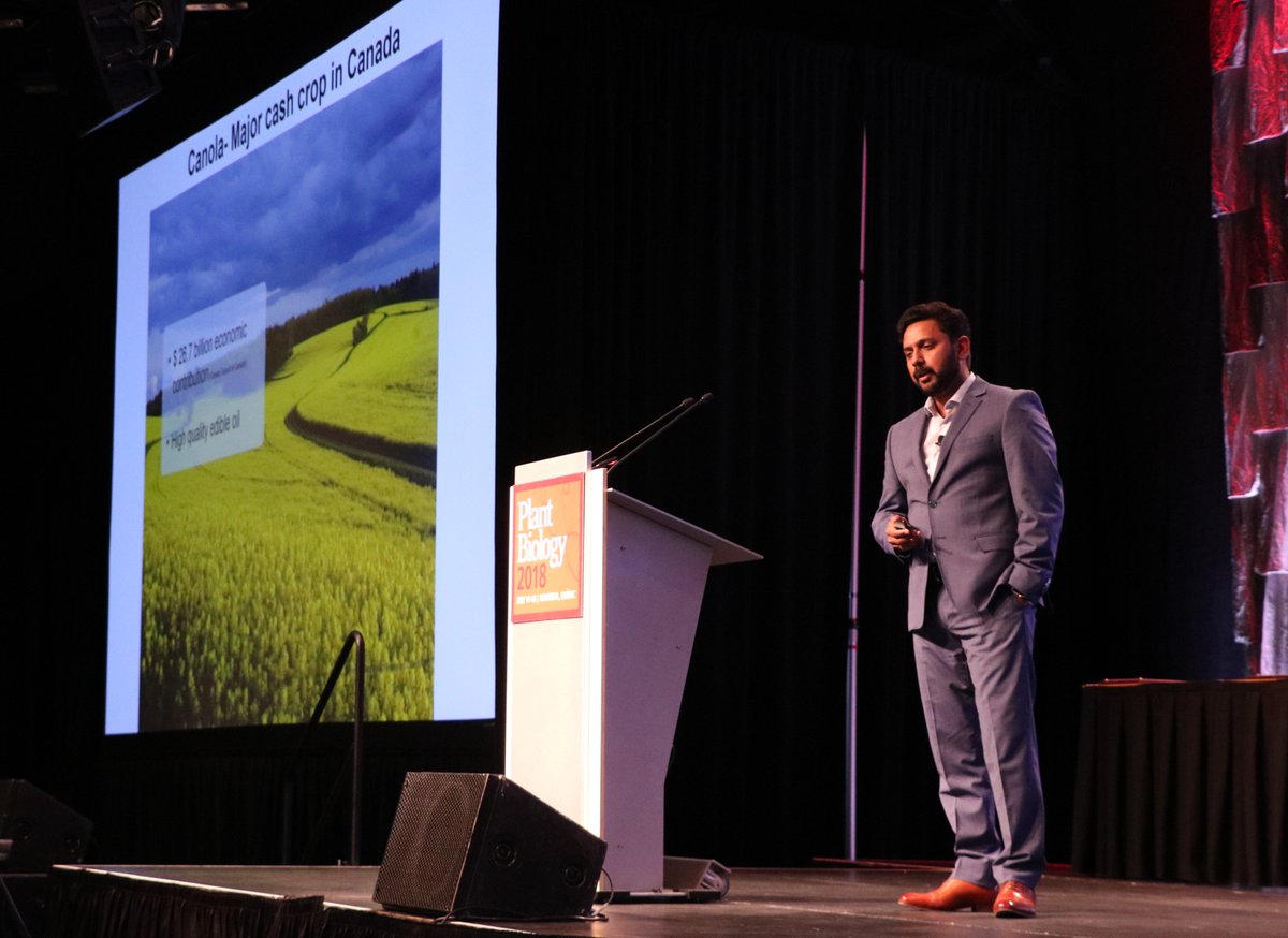 Marcus A. Samuel (@UCalgary), the 2017 recipient of the @cspbscbv C.D. Nelson Award, gives an inspiring award talk on canola at #PlantBio18