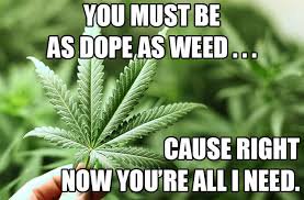 BigWeavStyle's tweet photo. I love you Mrs. Weaver! @StarWeaverStyle @StarLittlefield 
"You must be as dope as weed because right now you're all I need." Found you a picture of the 1st vegan conception. #ThanksTwitter https://t.co/Bf3eUwdXtA