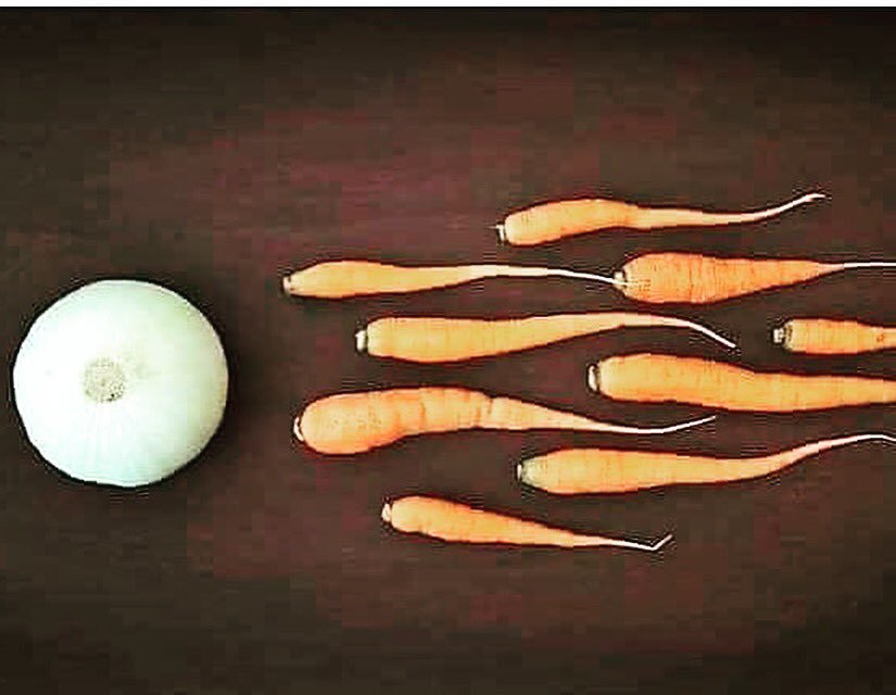 BigWeavStyle's tweet photo. I love you Mrs. Weaver! @StarWeaverStyle @StarLittlefield 
"You must be as dope as weed because right now you're all I need." Found you a picture of the 1st vegan conception. #ThanksTwitter https://t.co/Bf3eUwdXtA