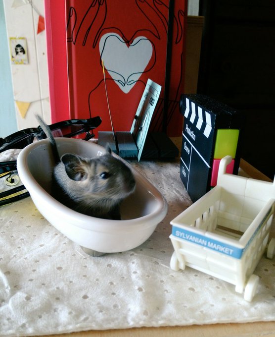 Twitterのコスプレ画像13