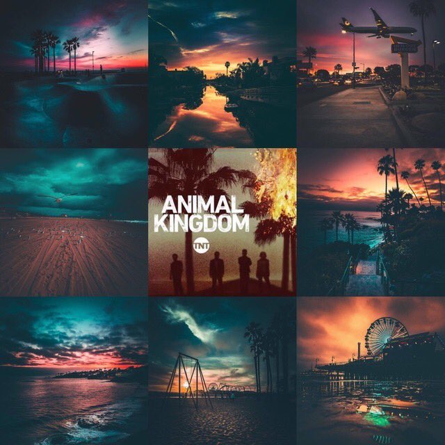 AggrievedPower's tweet image. —