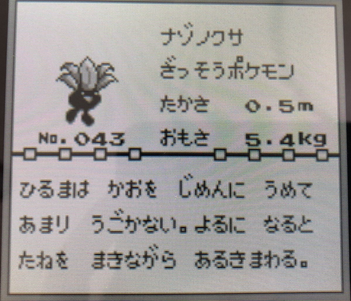 ポケモンプレイ日記