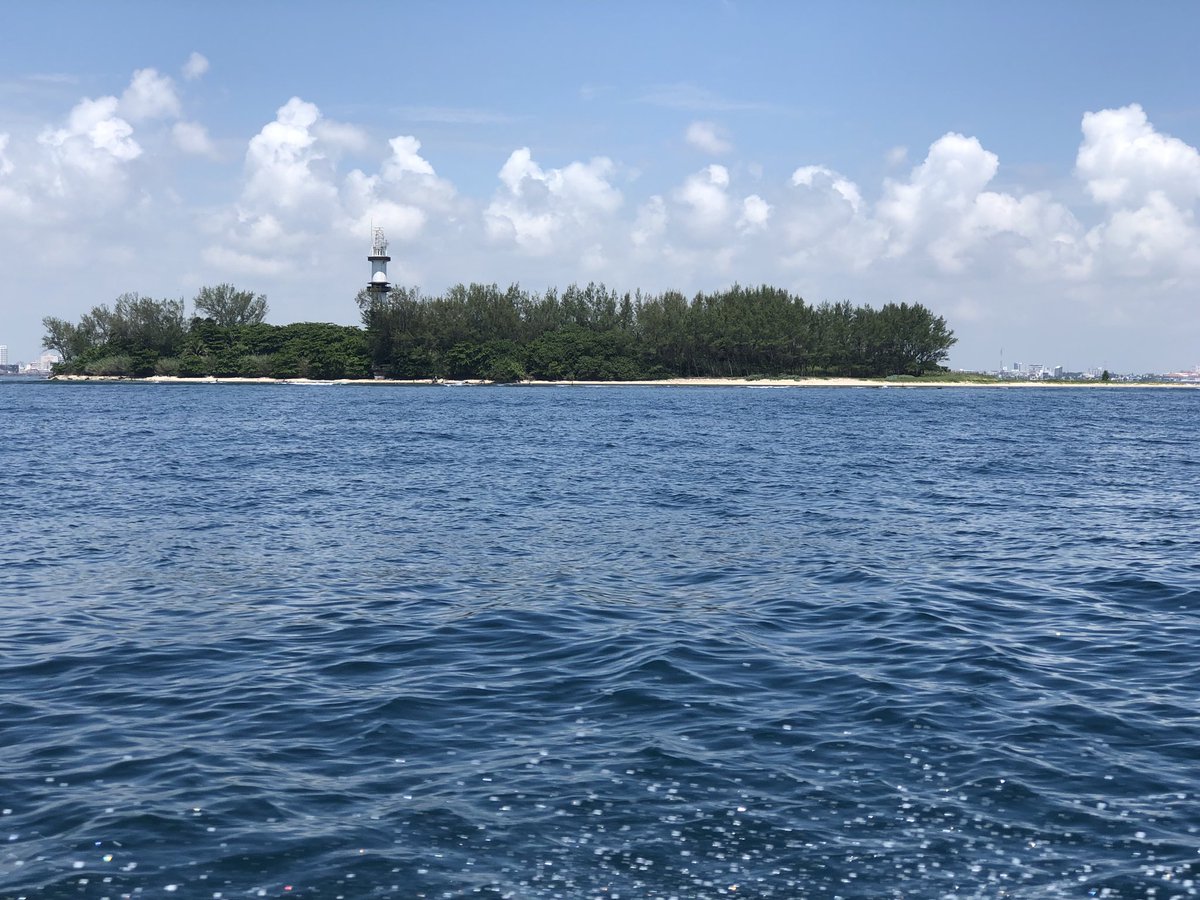 maditiz's tweet photo. amo Veracruz 💙🔝 https://t.co/ElLFkESdMH