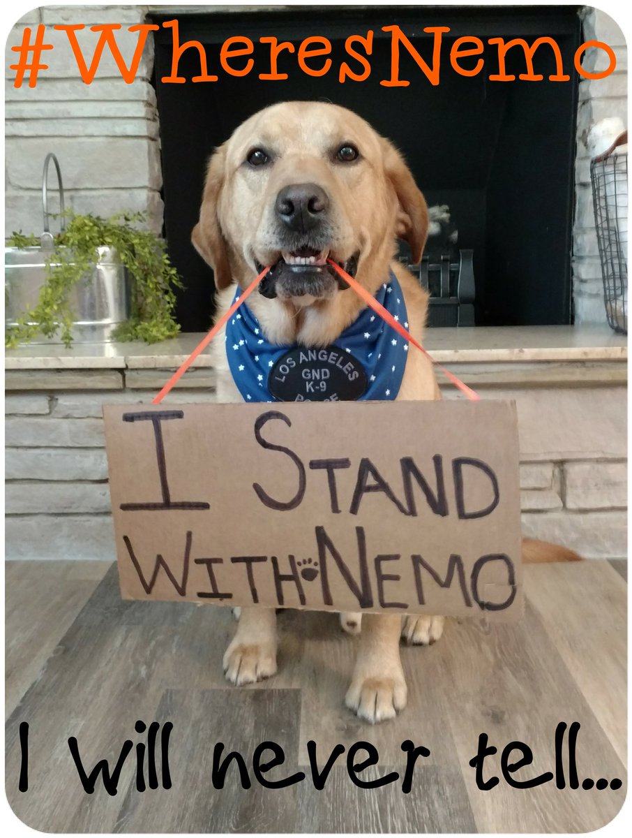 Christina_Roof's tweet photo. @SheriffChody @K9Nemo I think we are going to see this sign a lot @SheriffChody 🐾🐾🚓
#Landon has @K9Nemo's 6️⃣
#WilcoSheriffTx #LivePD #WheresNemo #RunNemo 🇺🇲 https://t.co/2zUE0TrJJg