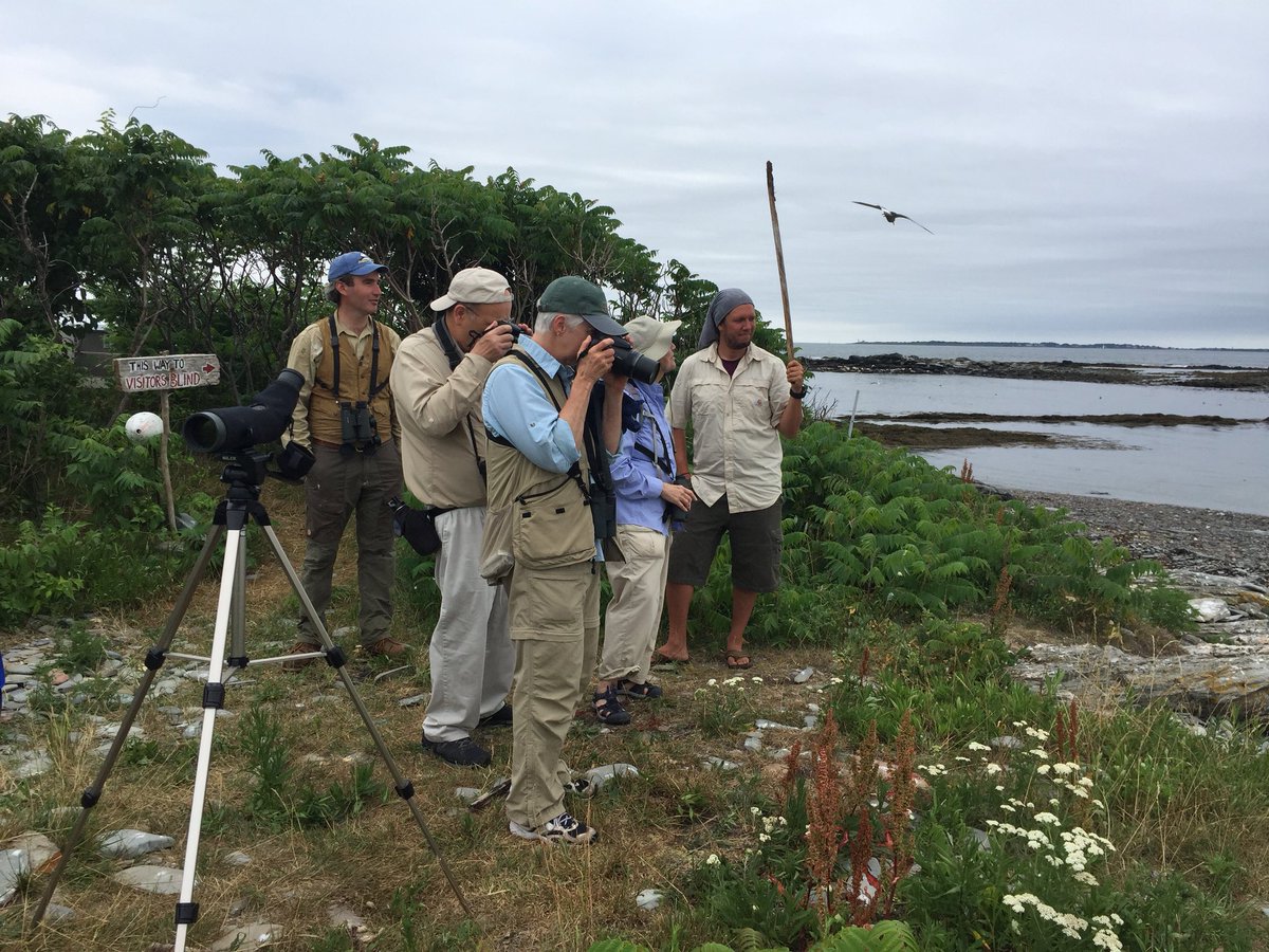 SMACaudubon's tweet photo. Great trip to Stratton Island. Really good look at the terns.@MaineAudubon https://t.co/z0hnBDUj2Z