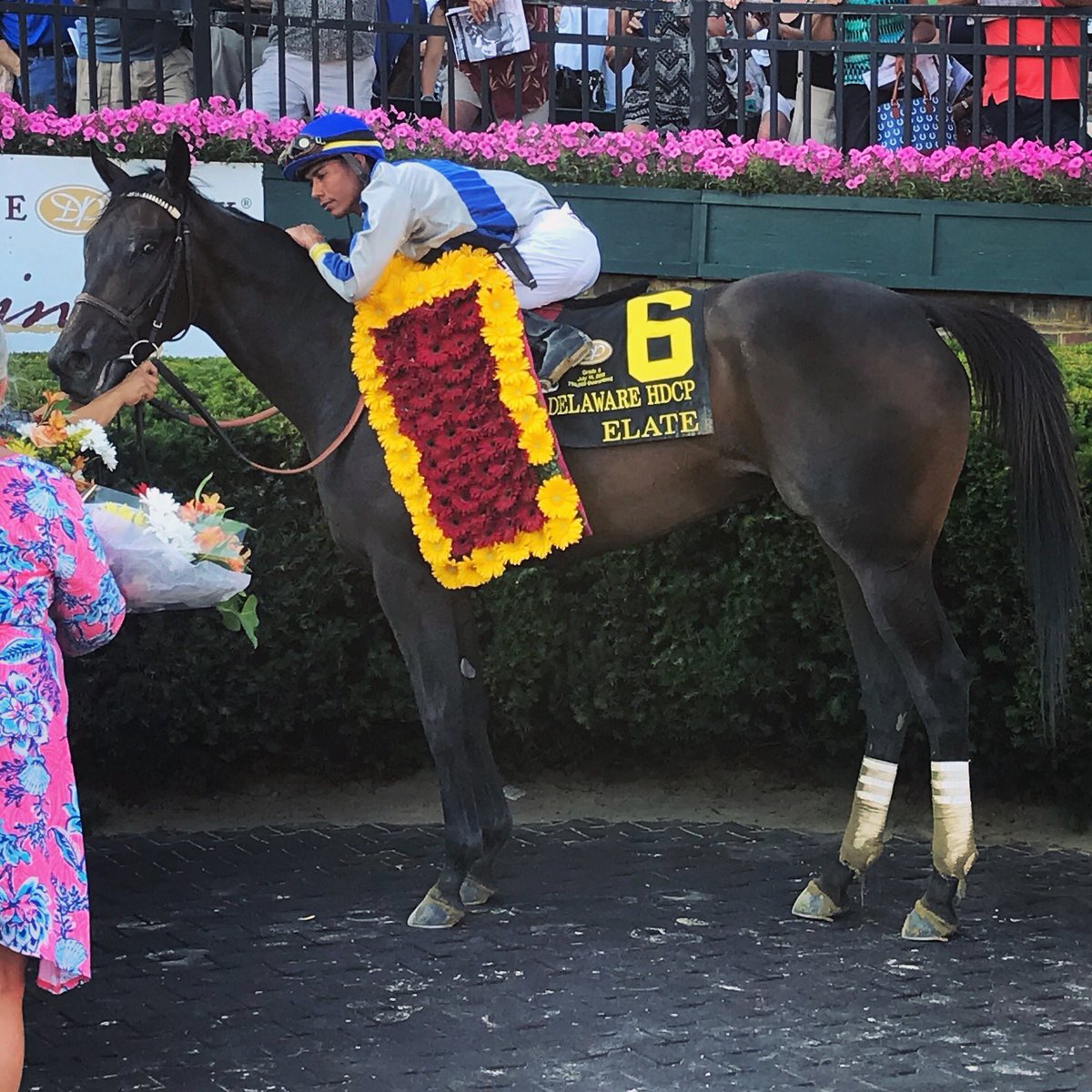 Gabby_Gaudet_'s tweet photo. This was a pretty cool moment. @jose93_ortiz giving Elate the praise she deserves. What a filly, what a ride and what a training job by Bill Mott. #DelCap https://t.co/CUWsVuLaw1
