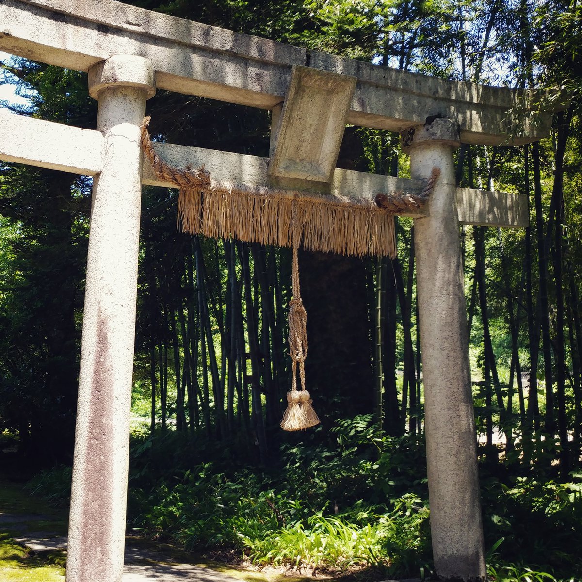 ヨロズナ 萬名 游鯏 鳥居の注連縄 板締めと呼ばれる形式に 長く垂らした飾り結び付きの〆の子があります 三宅神社 Miyakeshrine 神社 Shrine 神社巡り 注連縄 しめ縄 鳥居 石鳥居 Torii Toriigate 扁額 参道 越後 旧古志郡 長岡市