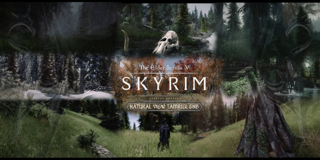 Nexus Mods on Twitter: ""Natural View Tamriel (NVT) ENB" is a stunning prest for #SkyrimSpecialEdition with options for Vanilla, Vivid Weathers, Weathers, and many more! https://t.co/GeCzCjEWj5 #NexusMods #SkyrimMods #SkyrimSE ...