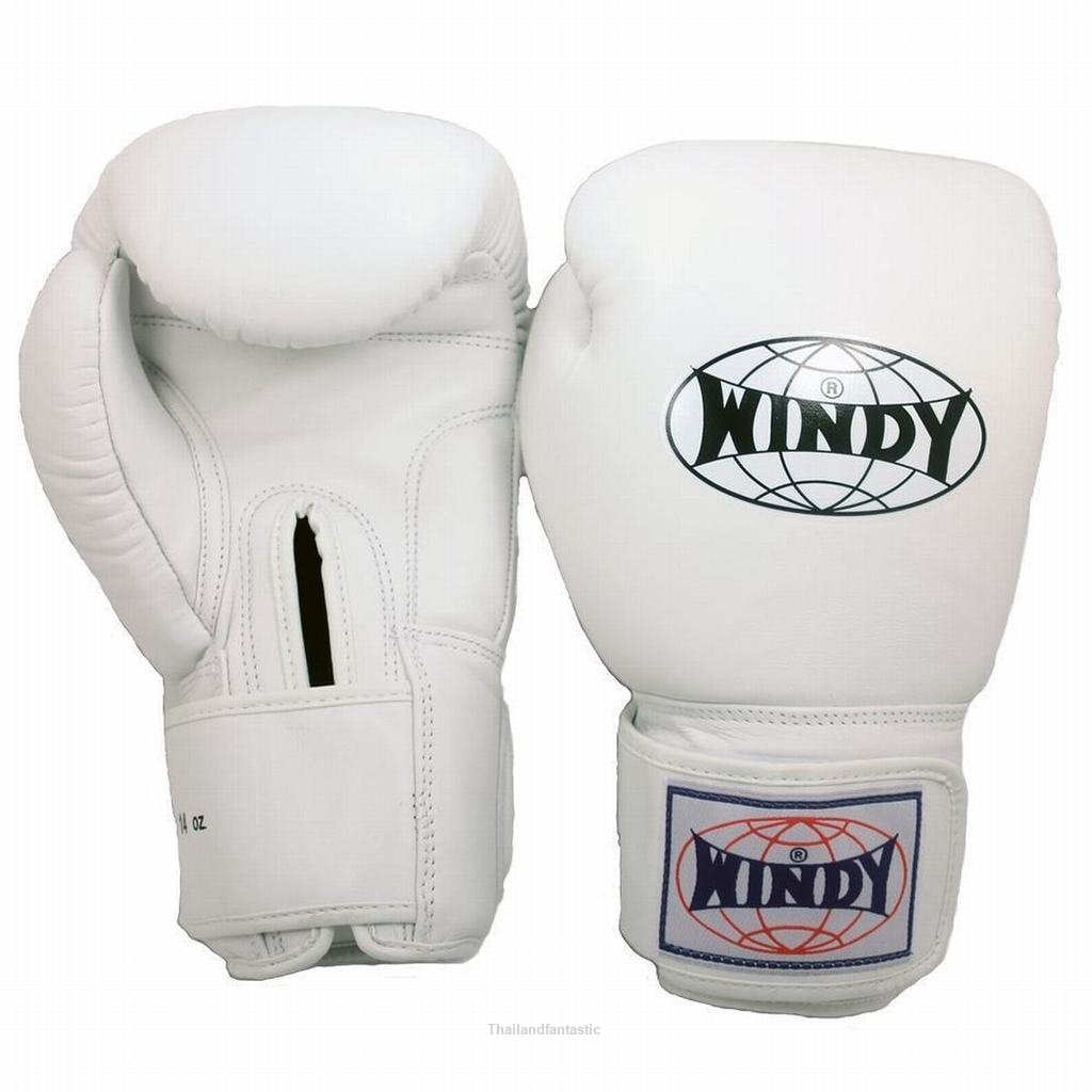 Promotion Muay Thai $50 !!!

14oz Windy BGVH White Muay Thai Kick Boxing MMA Sporting Training Punching Martial Arts Gloves

nezzisport.com/collections/sa…