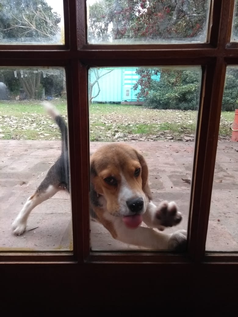 🌻E l i 🌻 (Landa_Eli) Twitter