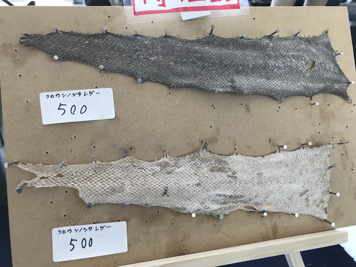 GrassFriends's tweet photo. 朱鷺メッセ2日目です。魚のレザー現品限りですので欲しい方は是非ともお立ち寄りください。
#クリケット
#夏フェス https://t.co/UDfHAfX79T