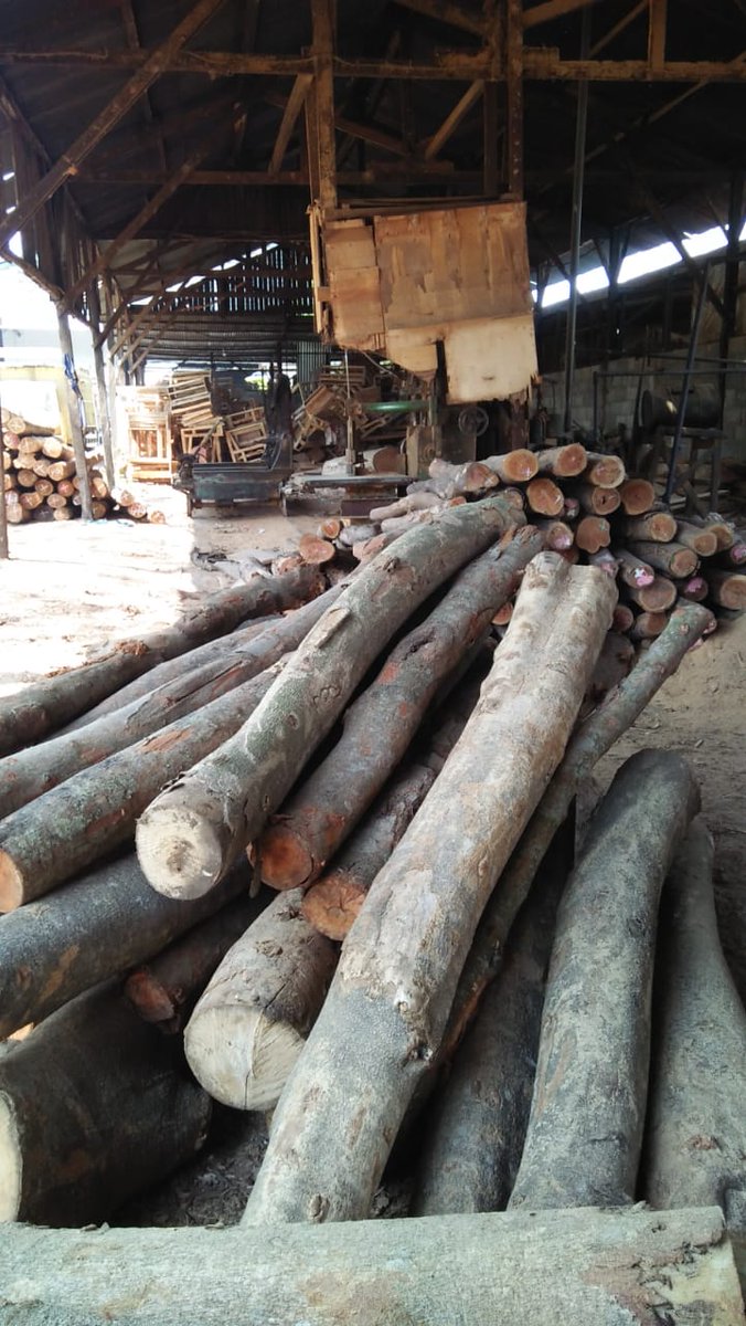 SrkZahmad's tweet photo. Usaha mebeler dan kayu DPW IPI Provinsi Jawa Timur https://t.co/uhfgwHd2hG