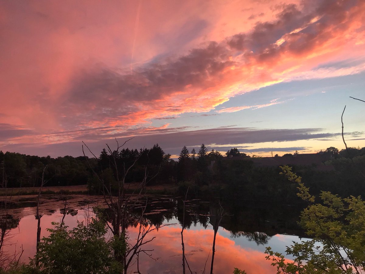 risapr1's tweet image. Tonight's #sunset. 🌅❤️
#pinksunset #sunsetreflection #nofilter #sunsetobsessed #michigansunset #michigansummer #puremichigan #michigan #summer #pink