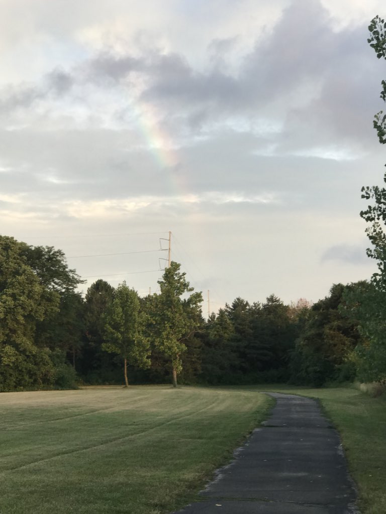 Mr_Woofy's tweet photo. First time we have taken a walk w/o Winston. We were out at one of his favorite places laughing about how he loved to be let off his leash and run as fast as he could. Then we looked up and saw this. #Peace #missingWinston https://t.co/eIsVbtCpDA