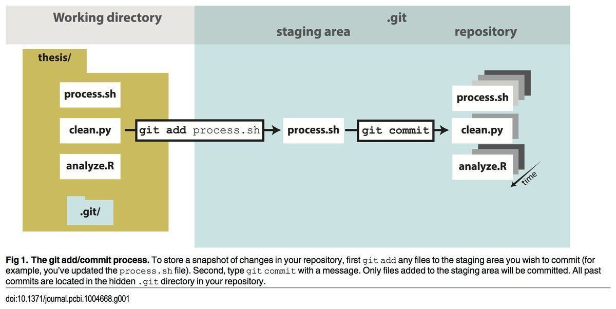 the git add/commit process