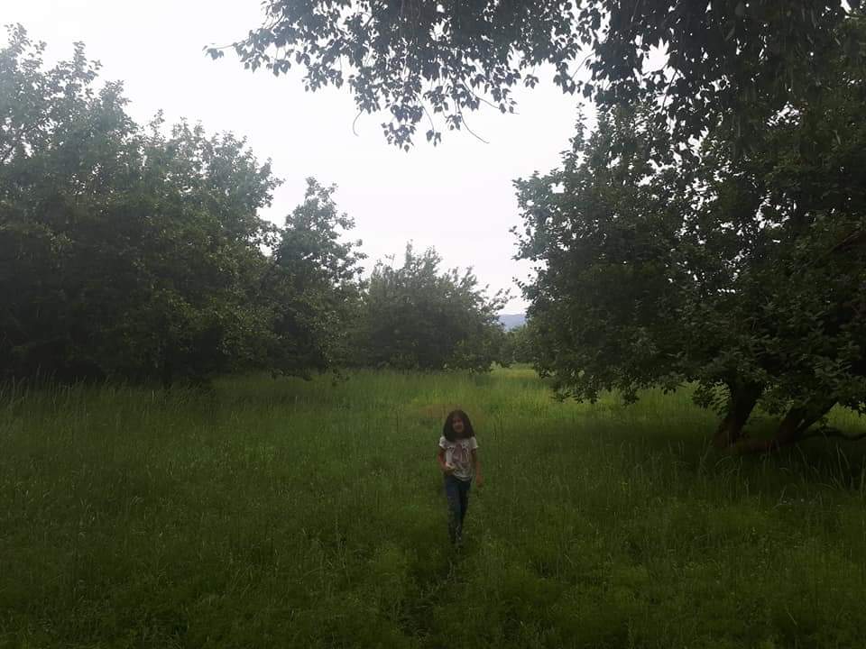 TamirBmng's tweet photo. Сайхан мэдээ: Энэ халуун хуурай говийг хангай болтол нь хөдөлмөрлөдөг хүн байна. Монголд алим ургадаг юм байна #гэнээ Баян говь https://t.co/7OeFlT8I3g