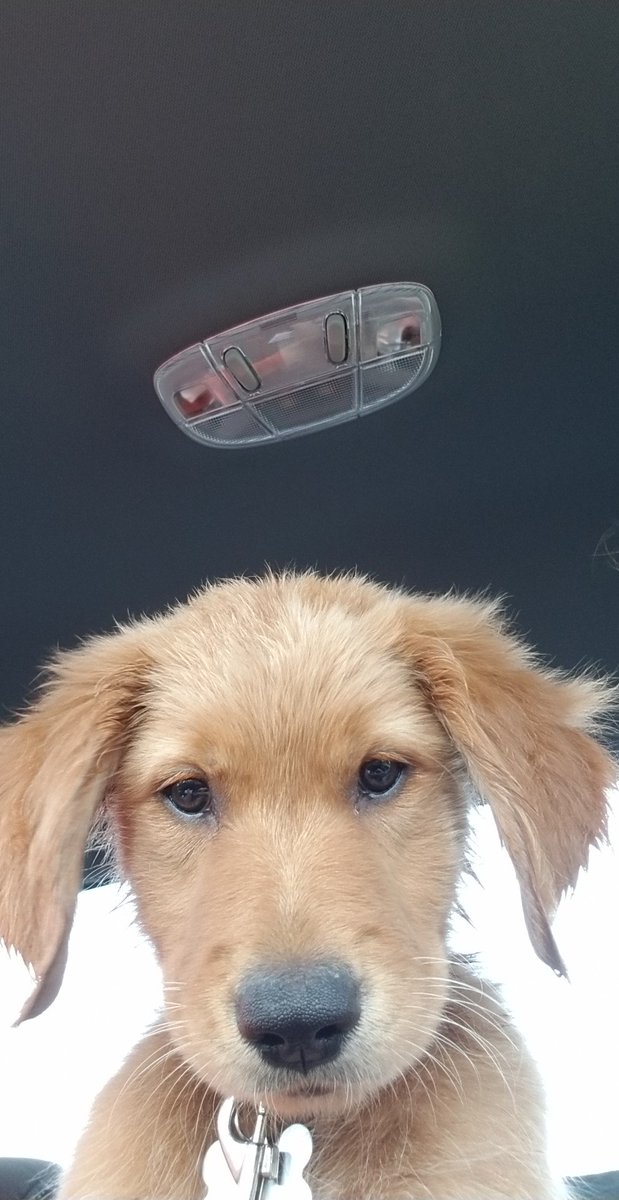 chlo_mo3's tweet photo. Got any games? https://t.co/wKa3TlXKgC