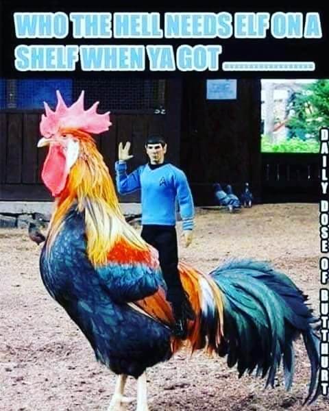 AristayaL's tweet image. #toomuchalcohol #funny #startrk ift.tt/2mhsc2Y