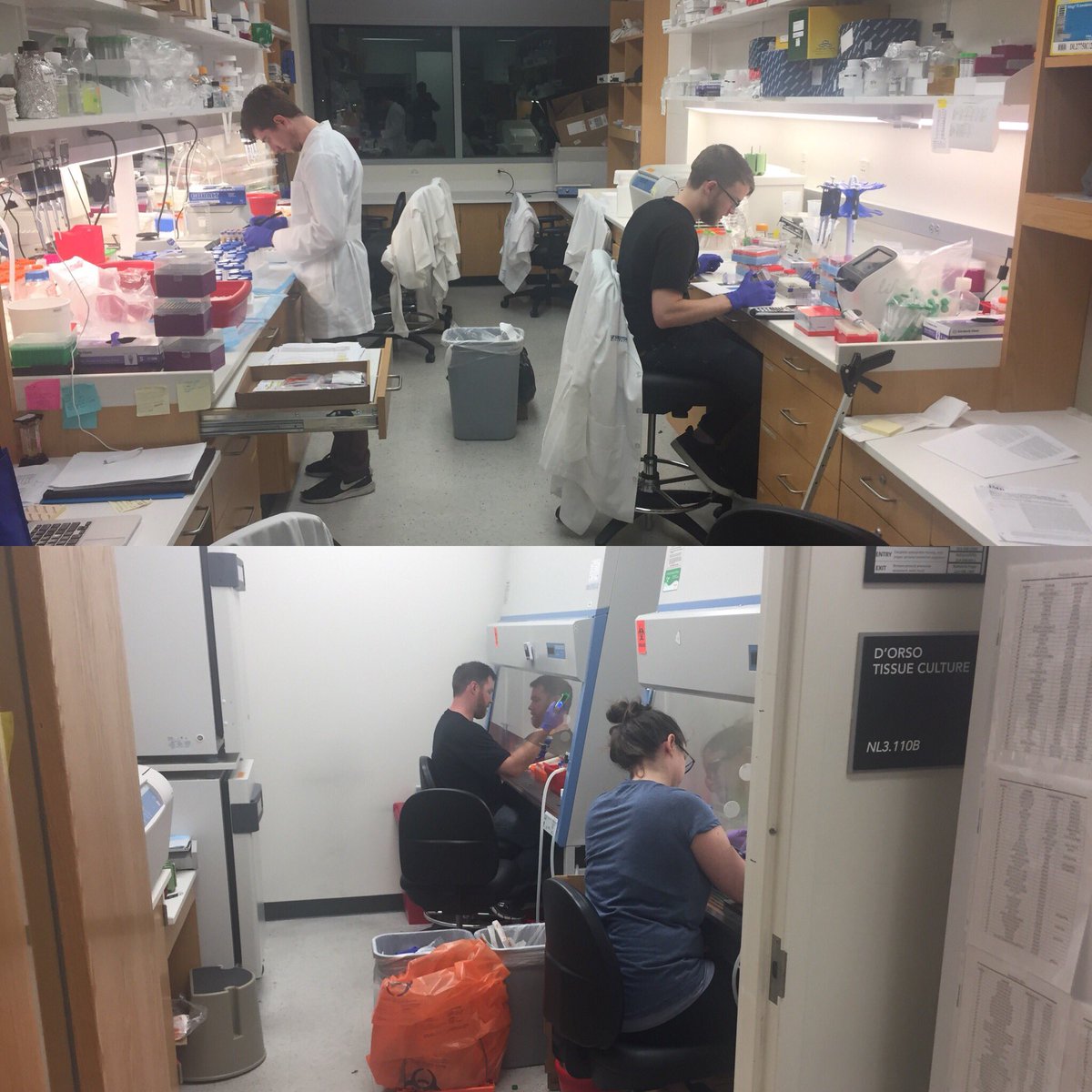 CrnicInstitute's tweet photo. The #HumanTrisomeProject team is still hard at work in the lab processing all the blood given by #NDSC2018 attendees! Thanks to all our awesome participants who rallied tonight - we love you all!! 😘
#DSresearch #DownSyndrome @NDSC https://t.co/6LeIuEBE4g