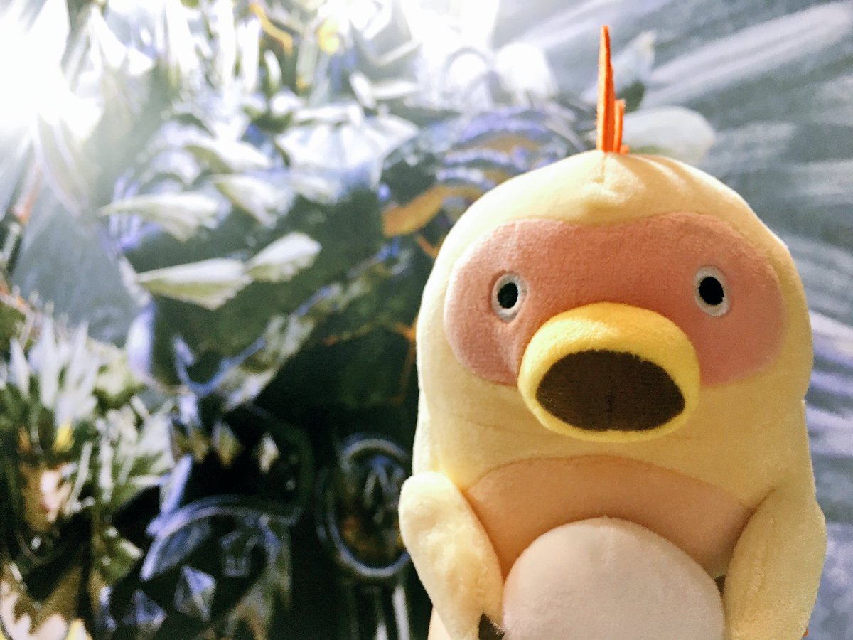 クルルヤックのぬいぐるみかわいすぎる‼️😍 #狩猟感謝祭