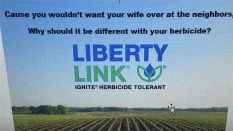 Liberty Link