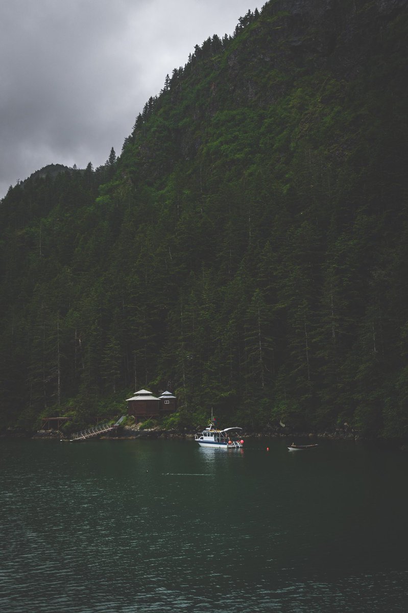 Praizist's tweet photo. Recent photos I’ve taken since I moved back to Alaska. Trying to reach a larger audience so plz RT if you enjoyed these. https://t.co/zv09pECnNc