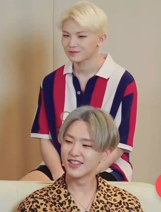 Istg soonyoung is so whipped  https://twitter.com/exhosh/status/1018439154651164672/video/1