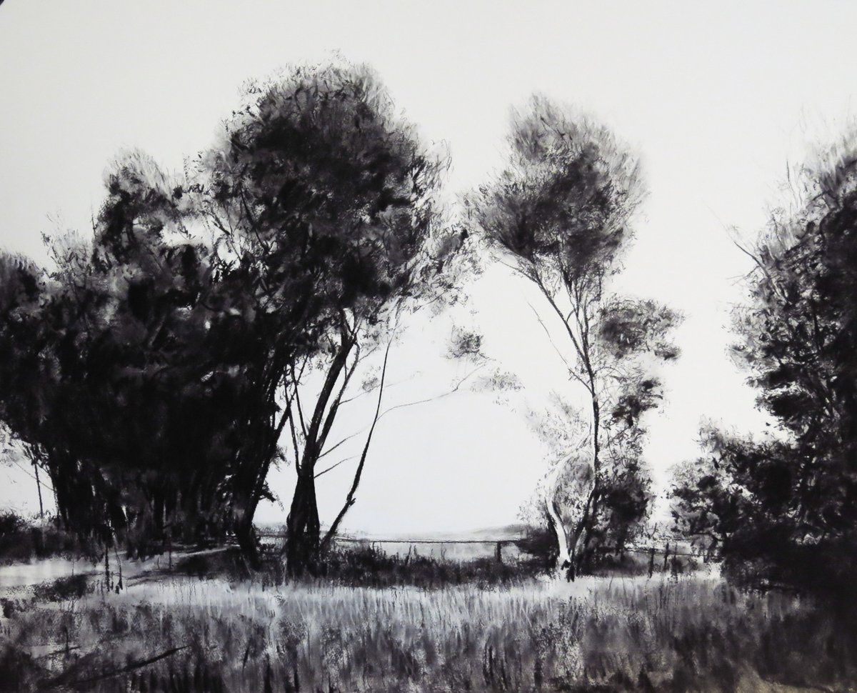 JohnDaviesGall's tweet photo. The atmospheric pictures by the Belgian photographer Léonard Misonne  are the inspiration for Carla Groppi’s set of drawings on show at ‘The Arborealists’ exhibition until 4 August here at John Davies Gallery.
View catalogue : https://t.co/cpPBGDpcy3
 
@Grrropps @CotswoldsLive https://t.co/SjNpjcgMlA