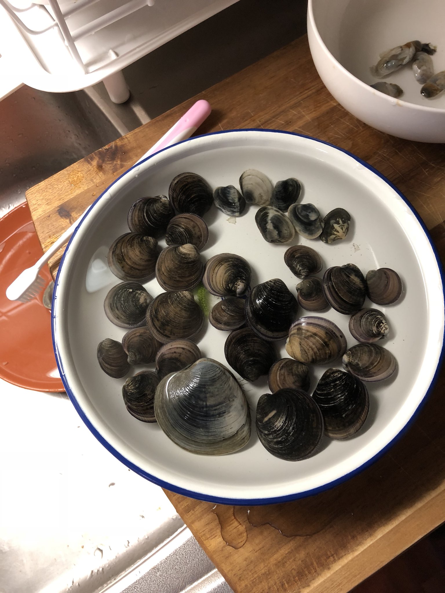 綾瀬いなり 接種済 きのうは江戸川にアナジャコ釣りと潮干狩りに行ってきた 行ってきたがッ 満潮 結局アナジャコ釣りができたのは10分間ほど それでも開始2分間くらいで彼女氏が1尾釣り上げたのだった T Co Dgghmb0eib Twitter