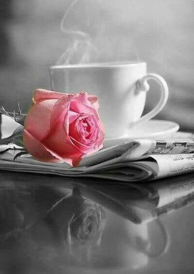 saeedaanwer's tweet photo. Good Morning have  a nice day https://t.co/vDwYNhRILr