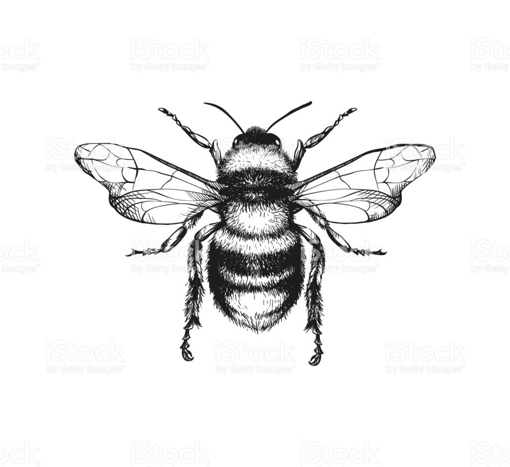 higgledygarden's tweet photo. Morning Pebbs, Are you aware that I am running this website? https://t.co/MROO5JLFUu https://t.co/II4MOG4RdU