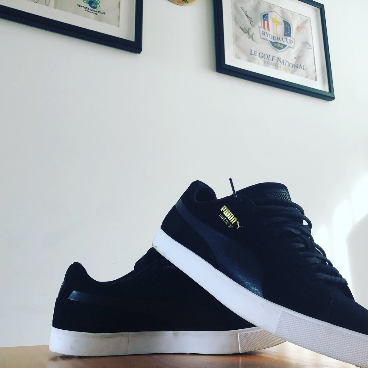 dbprogolf's tweet image. Always great to receive items from @pumagolf , especially for its 50th anniversary!
•
•
•

#DB #dbprogolf #instagolf #golfing #professionalgolfer #ambassador #pumaambassador #pumagolf #50anniversary #collection @puma @pumaperformance @pumasportstyle