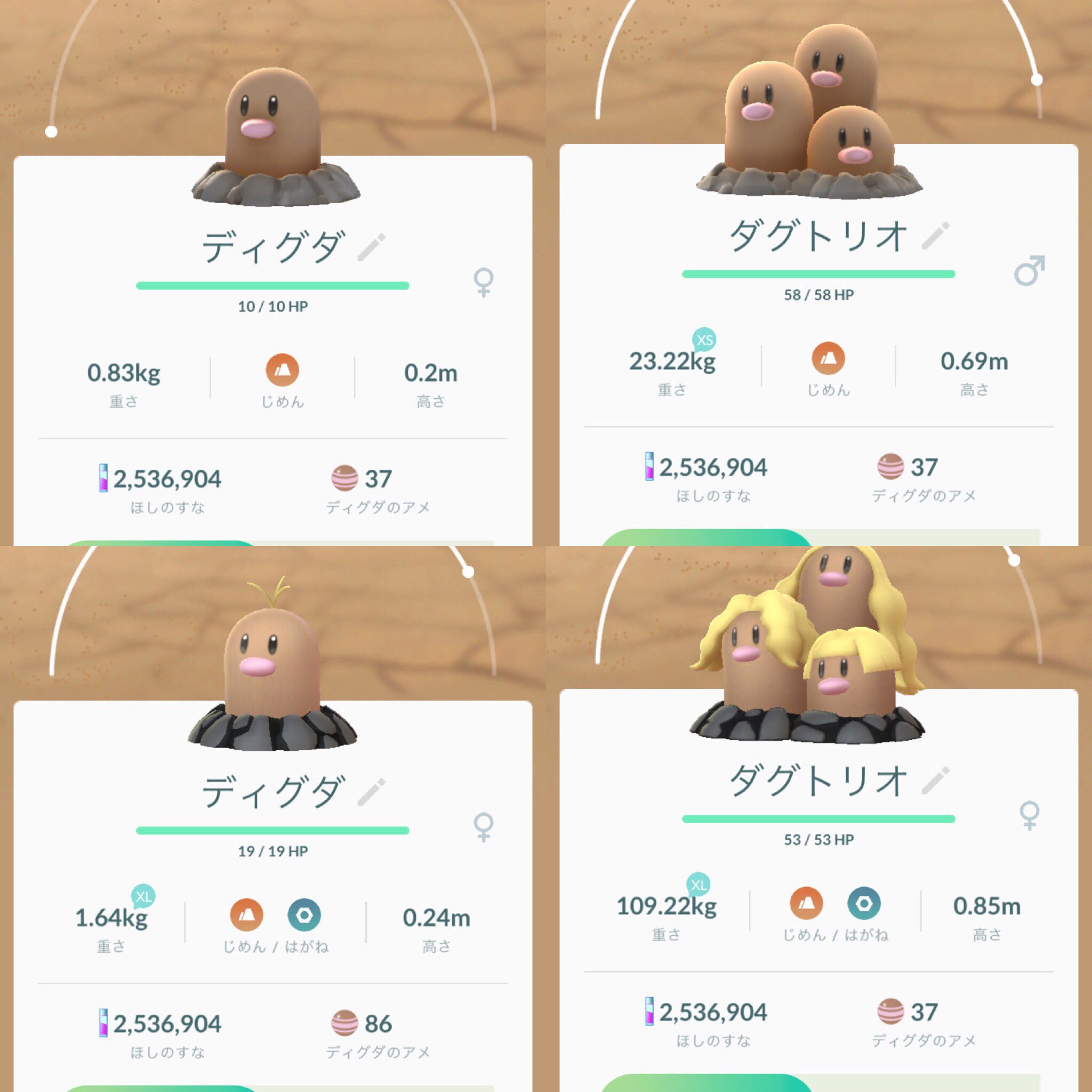 Uzivatel Tomo Chan Na Twitteru マジか この ディグダ が アローラ だったとは 普通にスルーしてた 違いは髪の毛と 穴周りのメタル感 アローラディグダ 進化させると一目瞭然 アローラダグトリオ T Co Ordmia2os3 Twitter