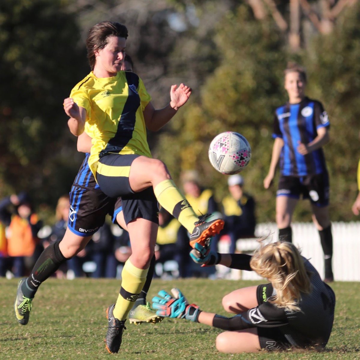 CCMariners's tweet photo. A successful Sunday for the Academy! 💪

✅ Men WIN 3-0
✅ Women WIN 5-0
✅ Phelan scores FOUR 
✅ Phelan takes season tally to 35

#CCMFC #NPLNSW https://t.co/3bmkSGYbBH