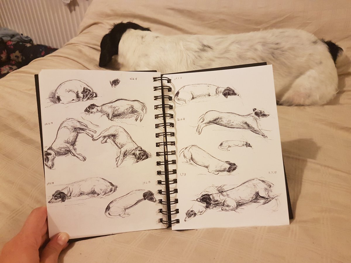 Sophies_Arts's tweet image. More from the quick-sketch-a-day journal! Was trying out some new techniques for life drawing so practiced with Kiko ❤ Also a bit of line drawing practice and other random bits and bobs
#sketch #haventmissedadayyet #journal #art #biro #practice