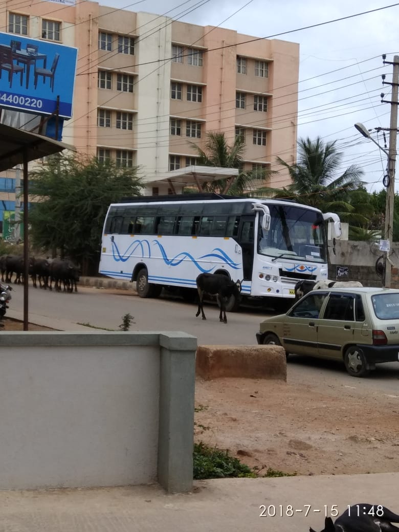 kdevforum's tweet photo. Request all local & office commuters on #kasavanahalli #mainrd to force @DCPTrEastBCP @ACP_TrafficEast @blrcitytraffic get some #traffic & #parking #admin here as @hsrltrafficps dont help or act! @DrParameshwara @bjparvind @ArshadRizwan @Kar_Gov_24X7 https://t.co/ug9SYZj2a4 https://t.co/XBQ6Q0LI3N