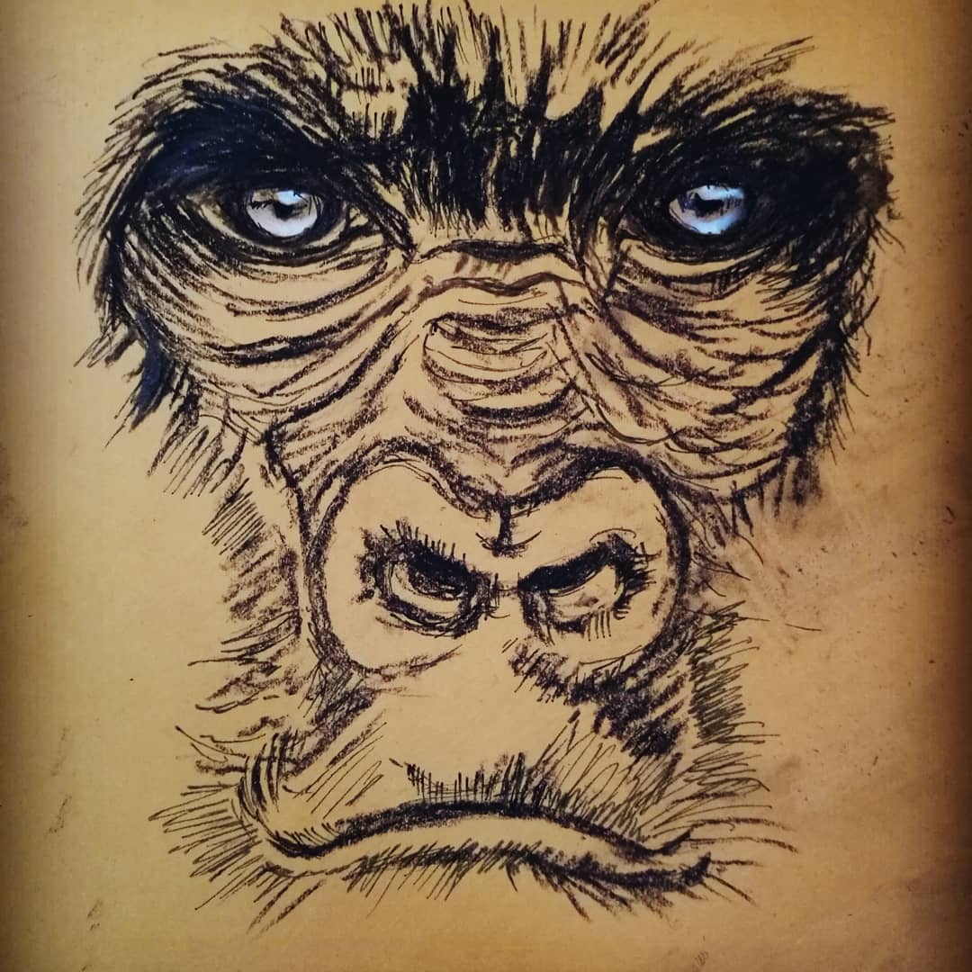 RealArtsWork's tweet photo. Doing some prep sketches for a workshop on animal art at @LyngLCA youth club this week. I think the young people will like drawing him...
#drawing
#charcoal
#charcoaldrawing
#animalart
#gorilla
#gorilladrawing
#givingpeopleacreativevoice
#artworkshop
#alexvann https://t.co/FOIu2R34IH
