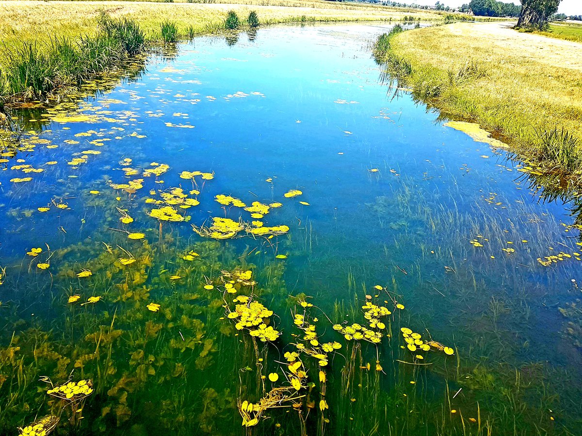 KimBrand10's tweet photo. Green everywhere.... https://t.co/4CcSvlLUJl