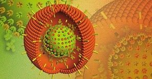 secretsofaidsa1's tweet image. EPSTEIN-BARR VIRUS CHARACTERISTICS AND SPREAD buff.ly/2NNnZk2