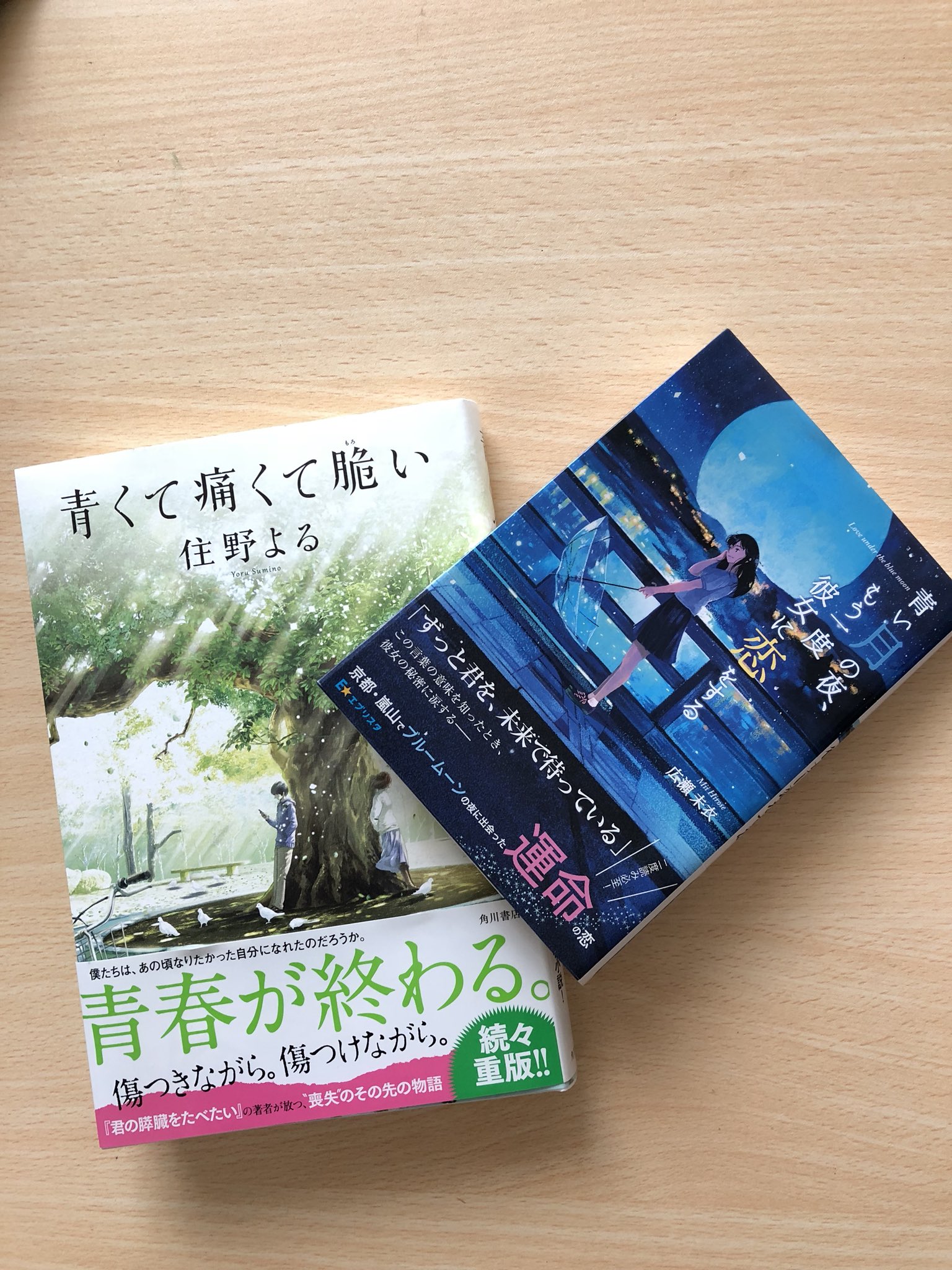 Gakky 子育てwebライター 本日の購入本 まだ他にも読みたい本あるけど 見つからなかったものもあるなぁ とりあえず 今日は 青い月の夜 もう一度彼女に恋をする 青くて痛くて脆い のダブル青で 青い月の夜もう一度彼女に恋をする 広瀬未衣