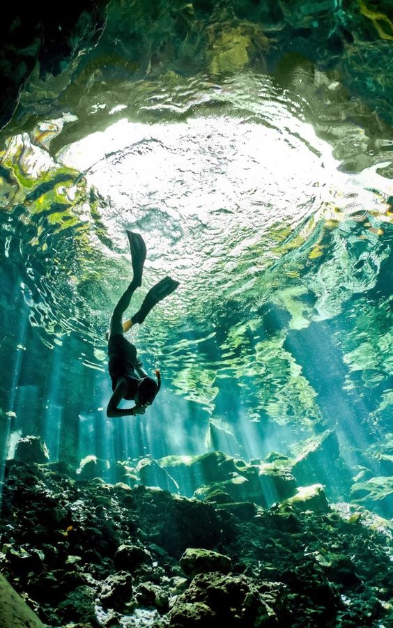 alrawdatarvel's tweet photo. for adventure seekers 
Port Sudan is incredibly famous for its remarkable scuba dive sites that feature unique underwater attractions that are unlike in any other places on the planet.
such as Sha'ab Rumi (an  hour from the coast) and Sanganeb (few hours from the coast).🐬🌊 https://t.co/zyHoyzM9nD