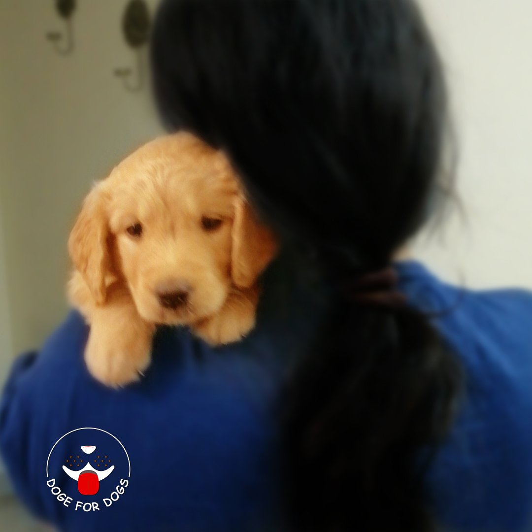 the_jerry's tweet photo. My Safe Zone :)
.
.
.
#money #today #market #dogefordogs #blockhedge2018bahrain #blockhedge2018bangkok #blockchain #blockhedge #cryptocommunity #bitcoin #blockchainevents #cryptocurrency #cryptoevents #ethereum #BTC #cryptocurrencynews #cryptonews #bitcoinprice #currency https://t.co/zDN9VfHJLd
