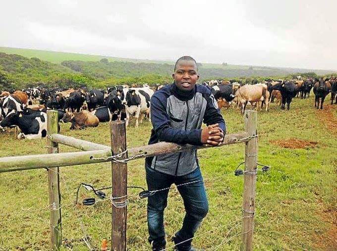 Tshilidzi Matshidzula who's just  29 and started with 50 cows. Today the farm has 549 cows that produce 11000 litres of milk a day.,🙌🏼🙌🏼 👏🏿👏🏿👏🏿👏🏿 #Blackexcellence #Venda
