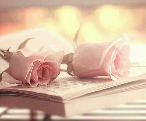 saeedaanwer's tweet photo. Good Afternoon https://t.co/B1YKsRRIxc
