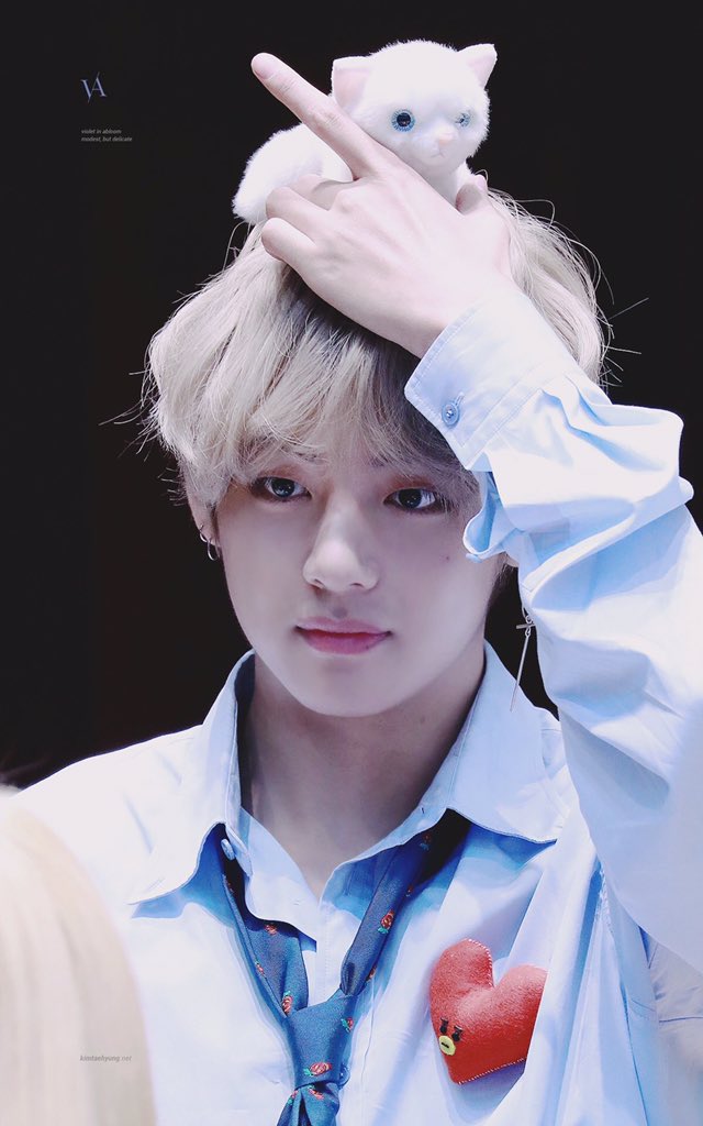 _v_moment's tweet photo. 고양이 위에 고양이 https://t.co/6b6OcqPBQR