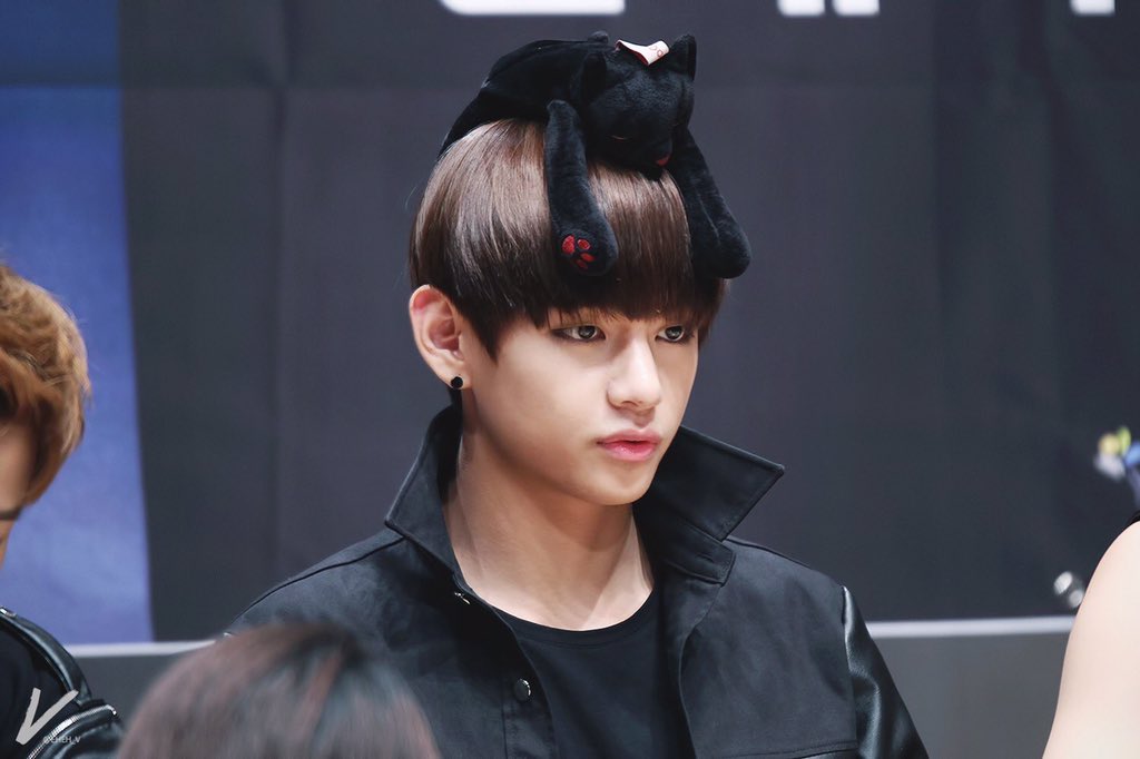 _v_moment's tweet photo. 고양이 위에 고양이 https://t.co/6b6OcqPBQR