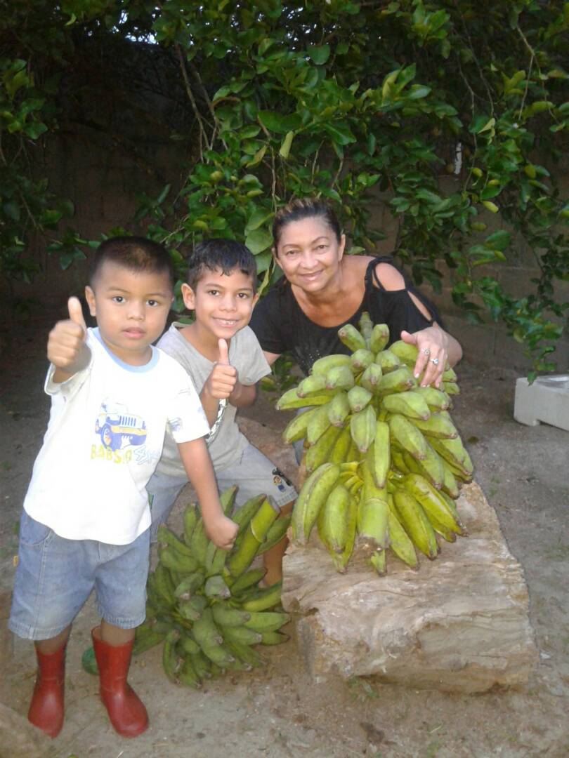 ZaidAlvarez7's tweet photo. Estos niños celebran su día cosechando topocho y chaco del patio productivo que tienen en su hogar.
¿Qué tal? Son #NiñosFuturoDeLaPatria porque desde pequeños le van inculcando el amor por el campo, por la naturaleza.
¡Vivan los ninos!

#15Jul https://t.co/5NibAoMBZE