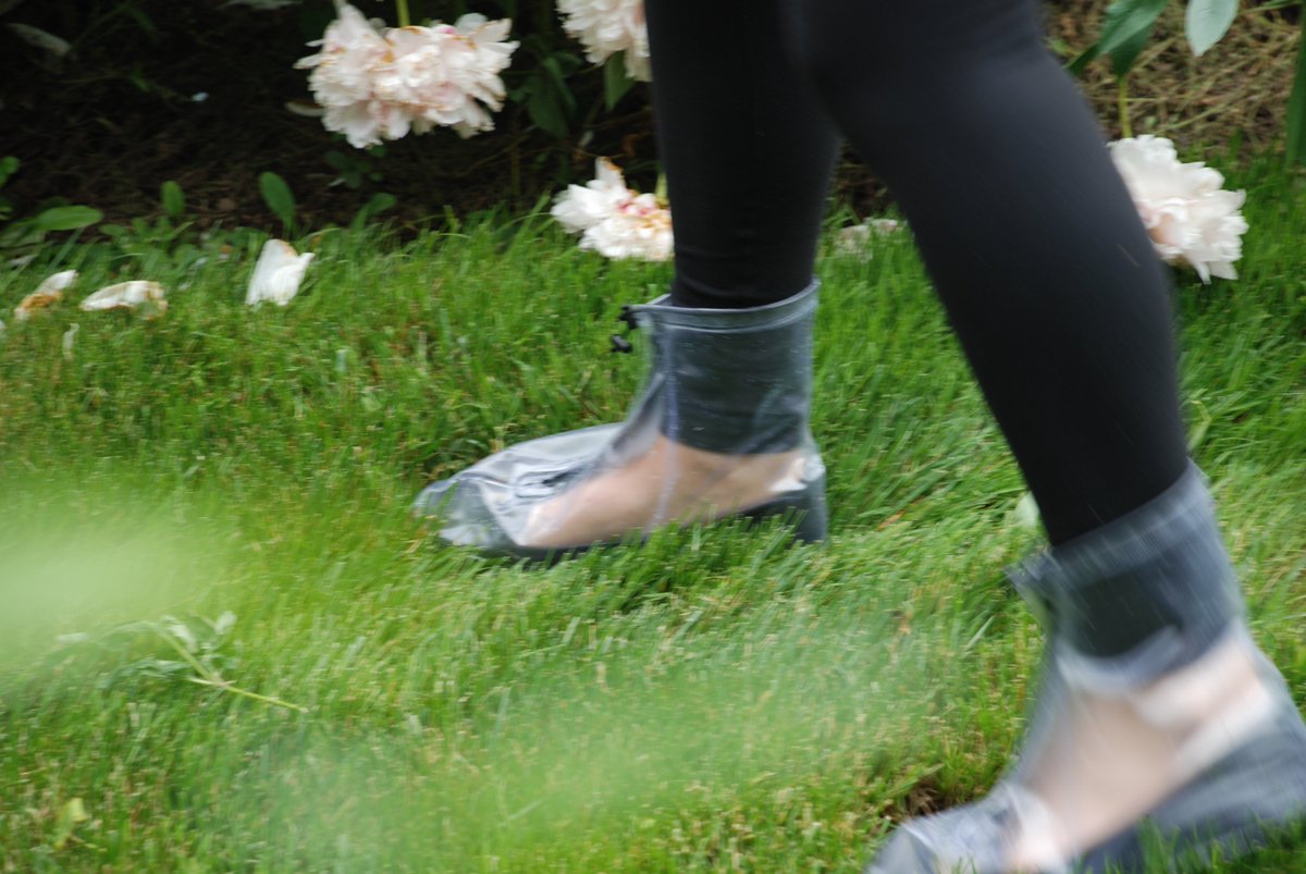 ShoeBrela (ShoeBrela) Twitter