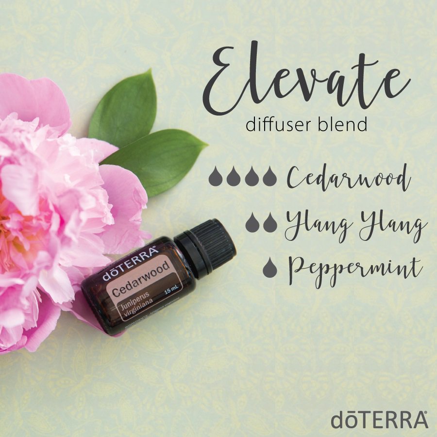 EssentialsBold's tweet image. Using the Product of the month.... You can use your diffuser to create these great blends!!!